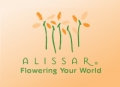 Alissar Flower Boutique Alissar Flower Boutique