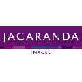 Jacaranda Images