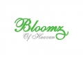 Bloomz of Heaven Bloomz of Heaven