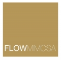 Flow Flow