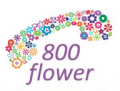 800 Flower