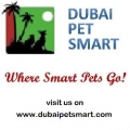 Dubai Pet Smart