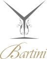 Bartini Bar