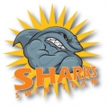 Sharks Swim Team