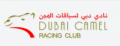 Al Marmoum Camel Racetrack Al Marmoum Camel Racetrack