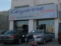 Cayenne Auto Spare Parts