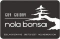 Nola Bonsai