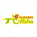 Toffaha Flowers Toffaha Flowers