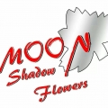 Moon Shadow Flowers Moon Shadow Flowers