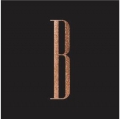 Bronze Lounge Bronze Lounge
