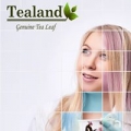 Tealand Trading LLC