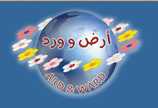 Ard & Ward Ard & Ward