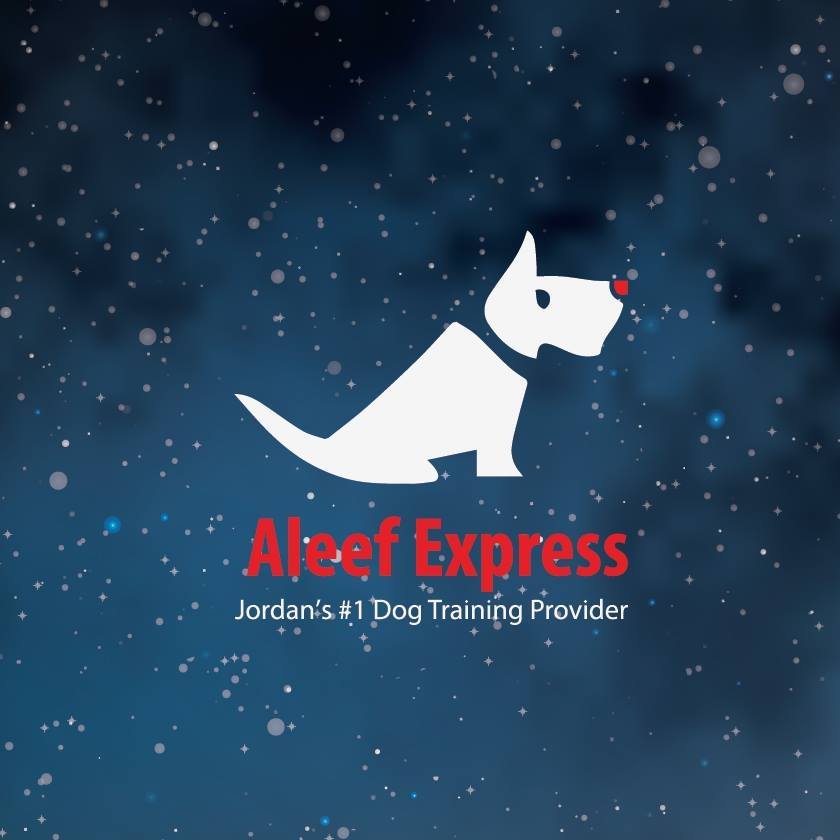 Aleef Express