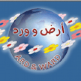 Ard & Ward Ard & Ward