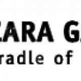 Zara Gallery Zara Gallery
