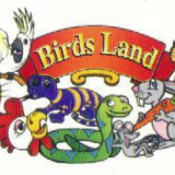 Birds Land Birds Land