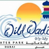 Wild Wadi Waterpark Wild Wadi Waterpark