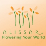 Alissar Flower Boutique Alissar Flower Boutique