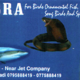 Cobra Pet Shop Cobra Pet Shop