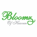 Bloomz of Heaven Bloomz of Heaven