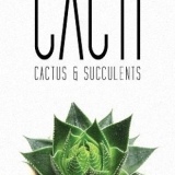Cacti Cacti