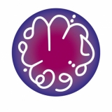 Dar El ilm School of Languages