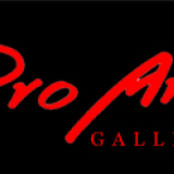 Pro Art Gallery