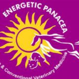 Energetic Panacea