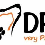 Dubai Pet Sitting Dubai Pet Sitting