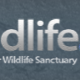 Ras Al Khor Wildlife Sanctuary