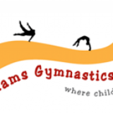 Shams Gymnastics Club