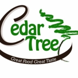 Cedar Tree