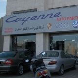 Cayenne Auto Spare Parts