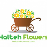 Halteh Flowers