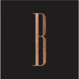 Bronze Lounge Bronze Lounge