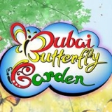 Dubai Butterfly Garden