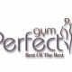 Perfect Gym