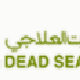 Dead Sea Spa Hotel