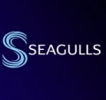 Seagulls Broadcast