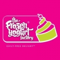 The Frozen Yoghurt Factory