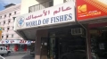 World of Fishes