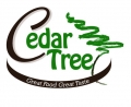 Cedar Tree