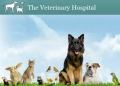 The Veterinary Hospital