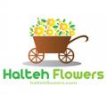 Halteh Flowers