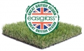 Easigrass Artificial Grass