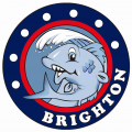 Brighton Fish & Chips