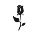 Forever Rose Cafe
