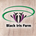 Black Iris Farm