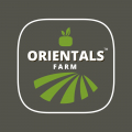 Orientals Farm