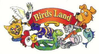 Birds Land Birds Land
